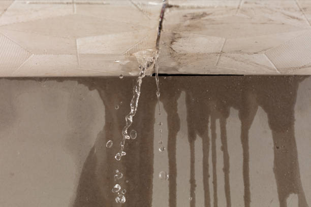 Professional Structural Drying technician working in Springville, UT